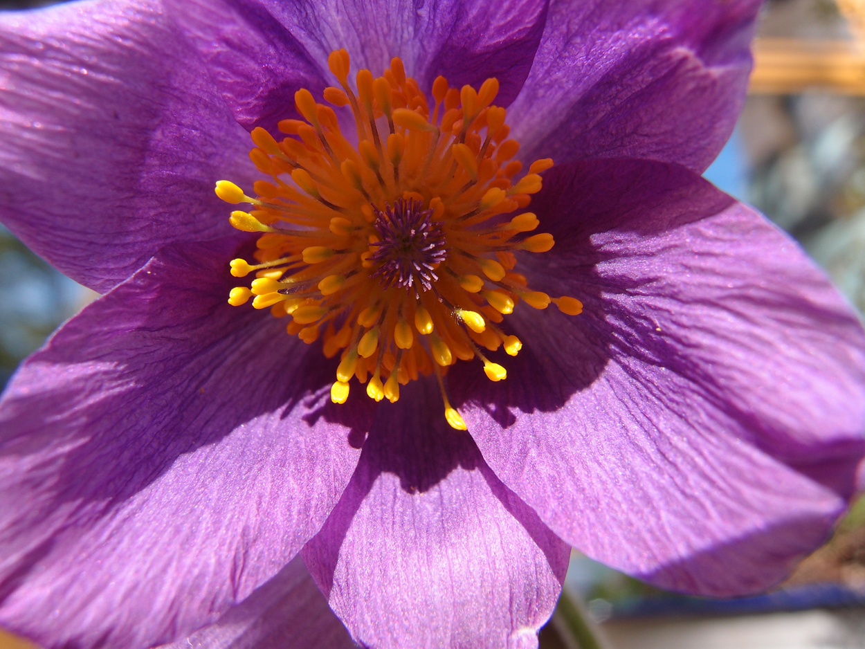 2019-04-24 wendel - der Garten